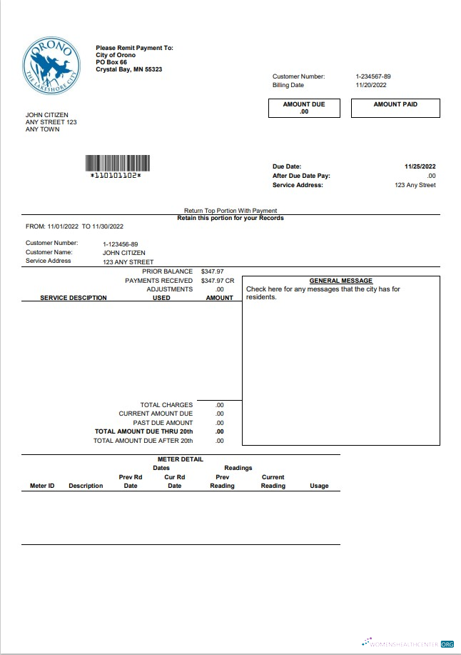 download USA Nevada Orono The Lakehore City utility bill template in Word and PDF format PDF template